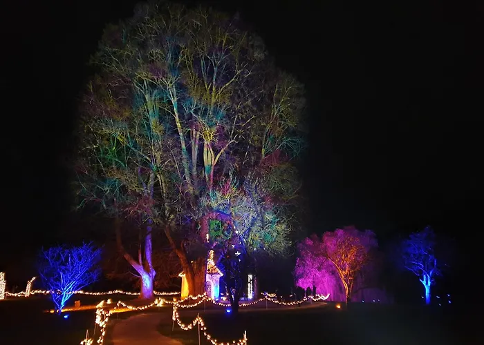 At Park, Luxurioese Mit Terrasse Und Parkplatz Im Herzen Von