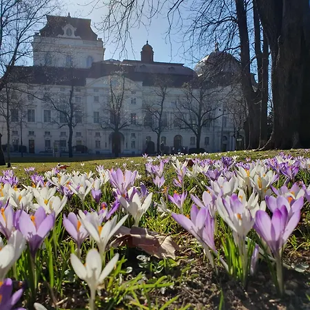 شقة At Park, Luxurioese Mit Terrasse Und Parkplatz Im Herzen Von