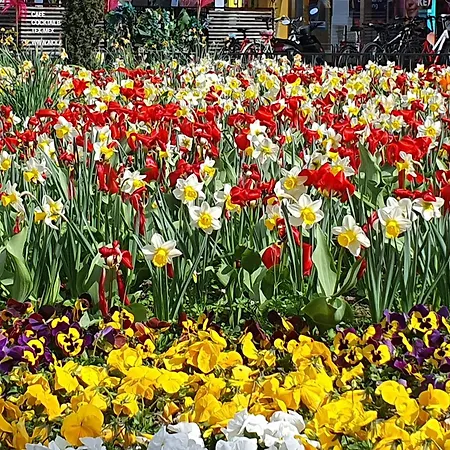 At Park, Luxurioese Mit Terrasse Und Parkplatz Im Herzen Von アパート *