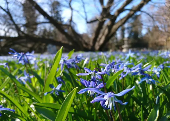 公寓 At Park, Luxurioese Mit Terrasse Und Parkplatz Im Herzen Von *