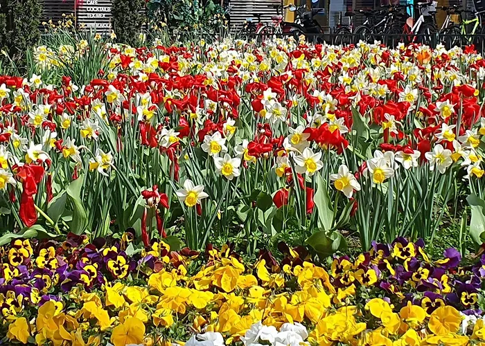 At Park, Luxurioese Mit Terrasse Und Parkplatz Im Herzen Von 公寓 *