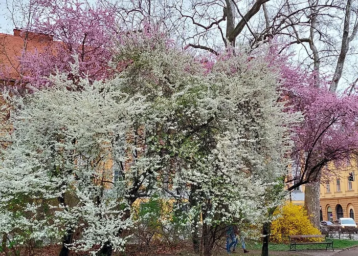 Apartment At Park, Luxurioese Mit Terrasse Und Parkplatz Im Herzen Von
